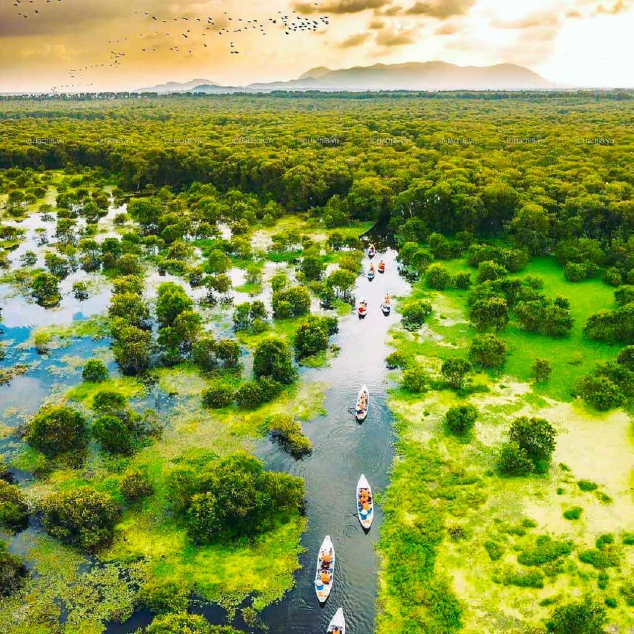 3D2N Tour | Discover the Waterways of the Mekong Delta: My Tho - Ben Tre - Chau Doc - Can Tho | Departs from Thành phố Hồ Chí Minh